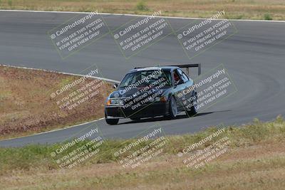 media/May-04-2024-Lucky Dog Racing (Sat) [[d39539b3f3]]/Race Pics/1015am (Turn 2)/